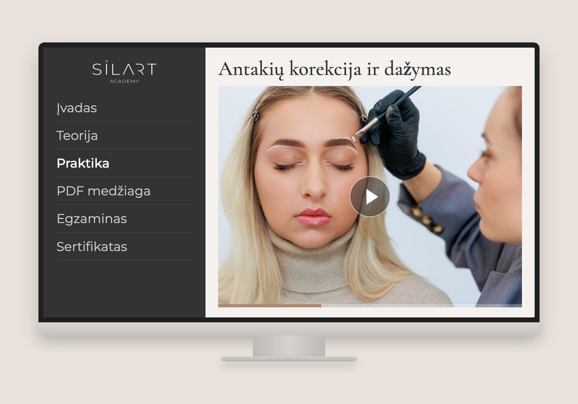 Antakių kursai online: kurso programa ir antakių korekcijos pamoka ekrane
